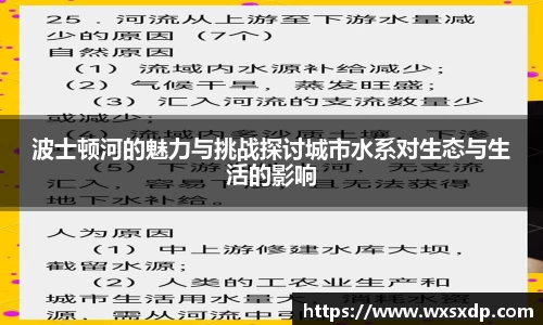波士顿河的魅力与挑战探讨城市水系对生态与生活的影响